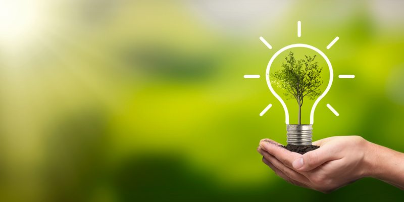 energy efficient appliances Hand holding a light bulb with a growing tree inside, symbolizing energy efficiency and sustainability in appliance upgrades.